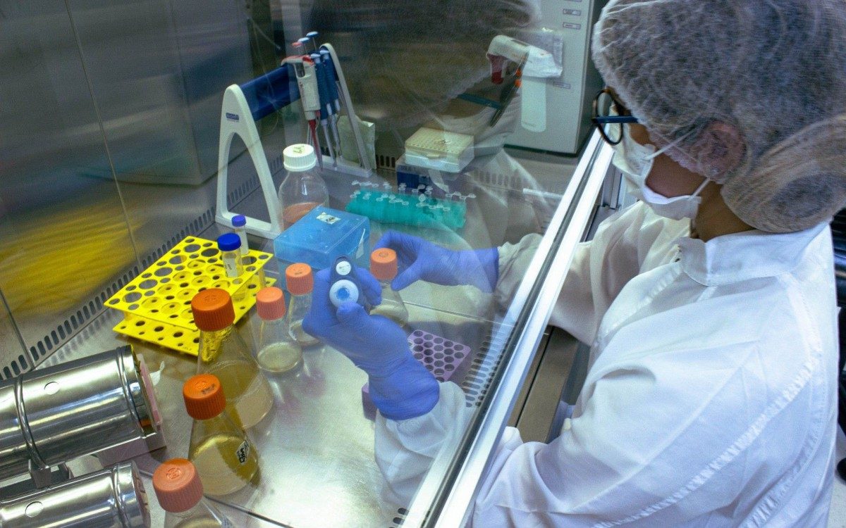 Pesquisadores da Coppe/URFJ atuam no desenvolvimento da vacina contra a covid-19 UFRJ Vac - Divulgação Coppe/UFRJ