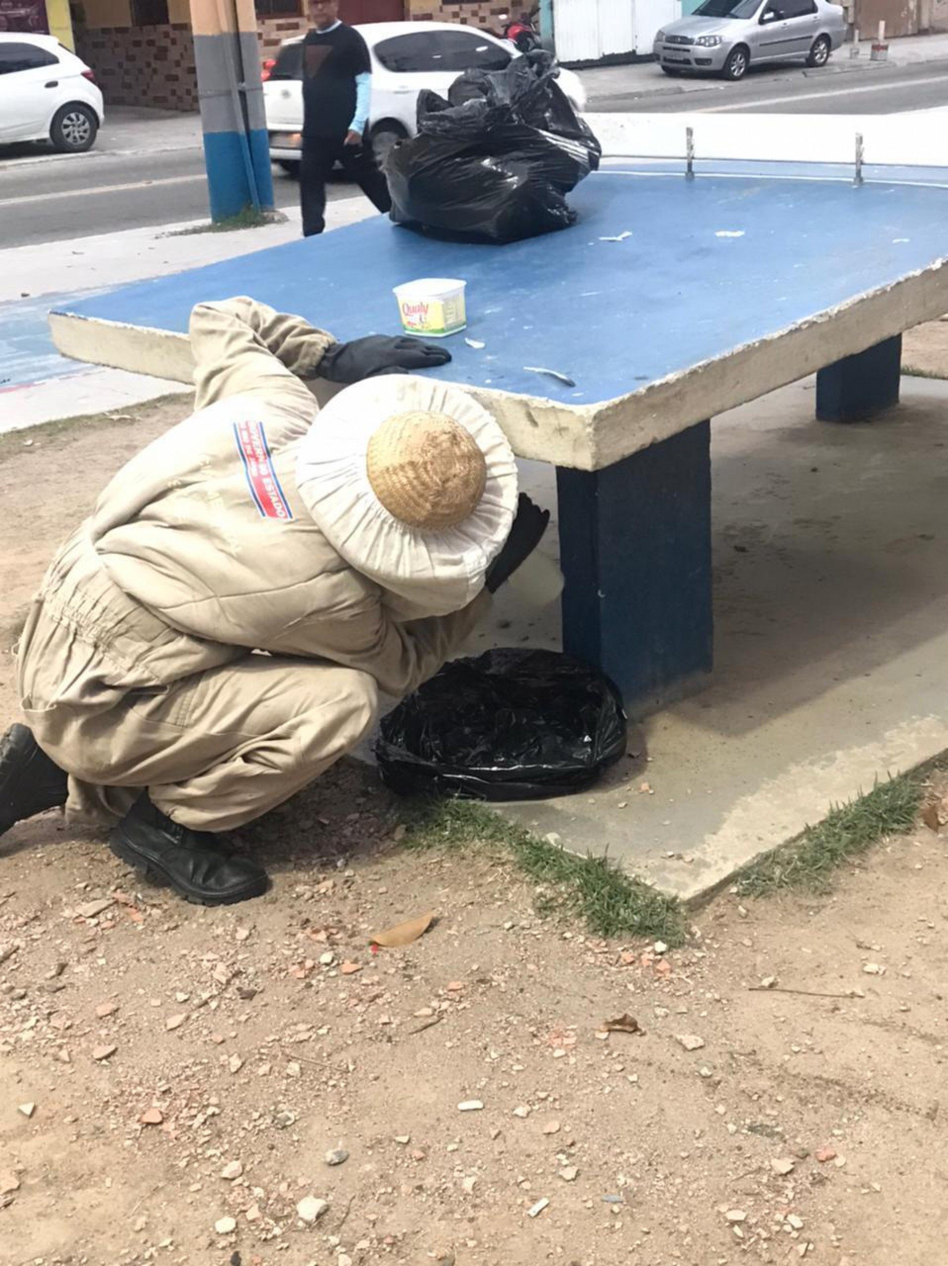 Defesa Civil remove enxame de abelhas em pra&ccedil;a de Mesquita