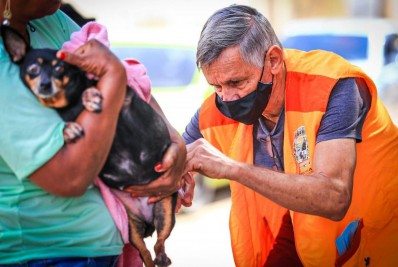 Belford Roxo vacina 1.077 animais contra a raiva