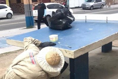 Defesa Civil remove enxame de abelhas em praça de Mesquita