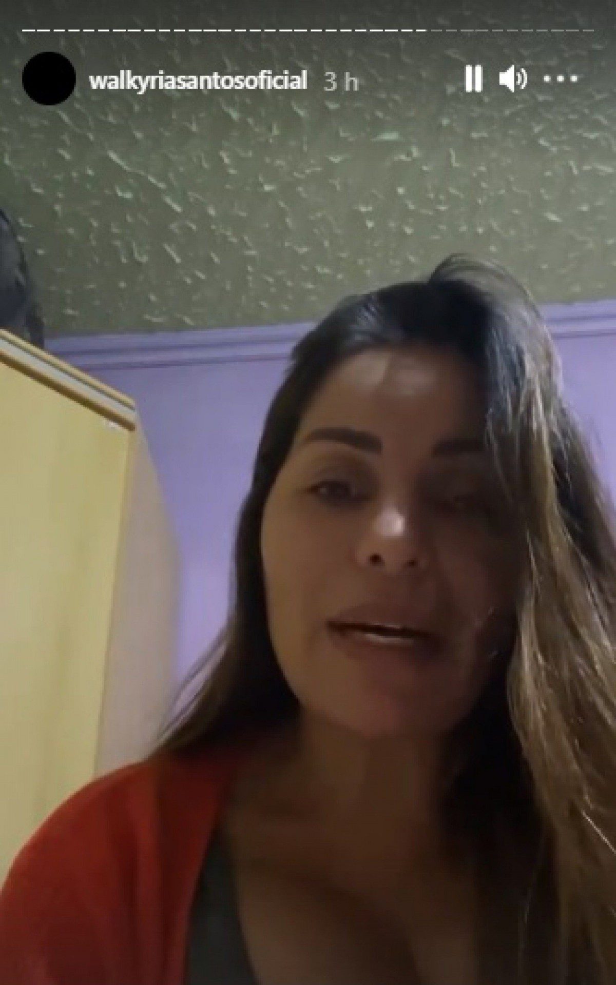 Desabafo de Walkyria Santos