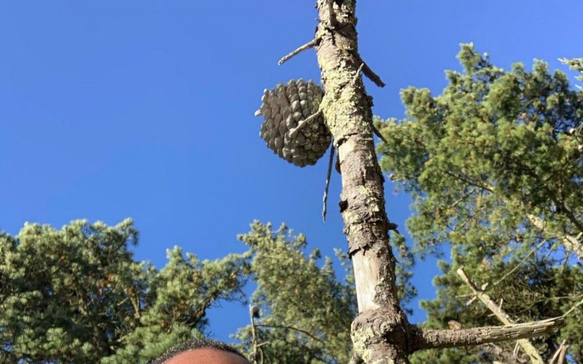 Ander Jackson tinha apenas 26 anos - Instagram / divulgação