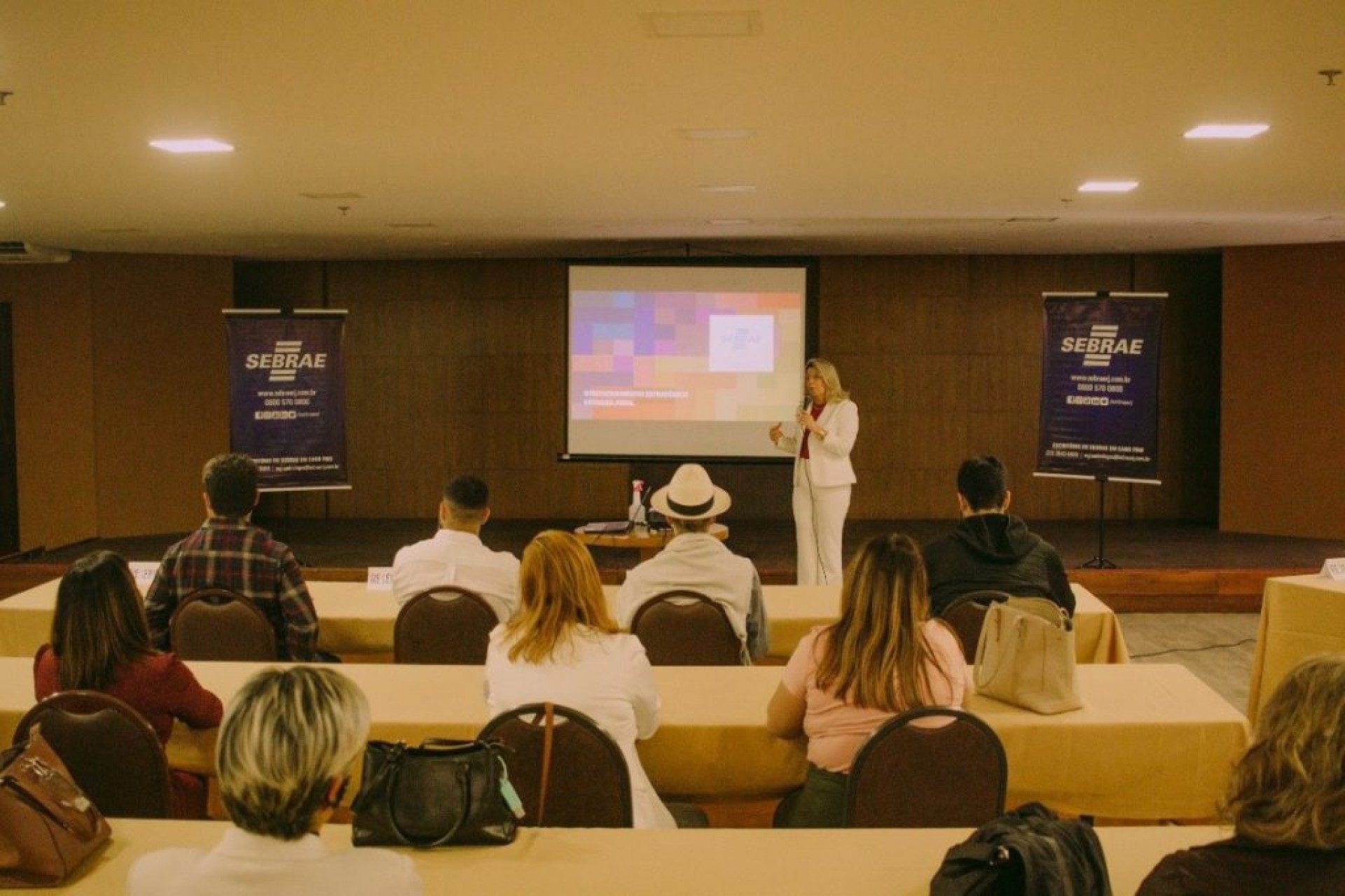 A proposta foi formalizada pelo Sebrae e passará por nova avaliação da Secretaria Municipal do Turismo, para a inclusão de novos projetos e fechamento da versão final - Divulgação