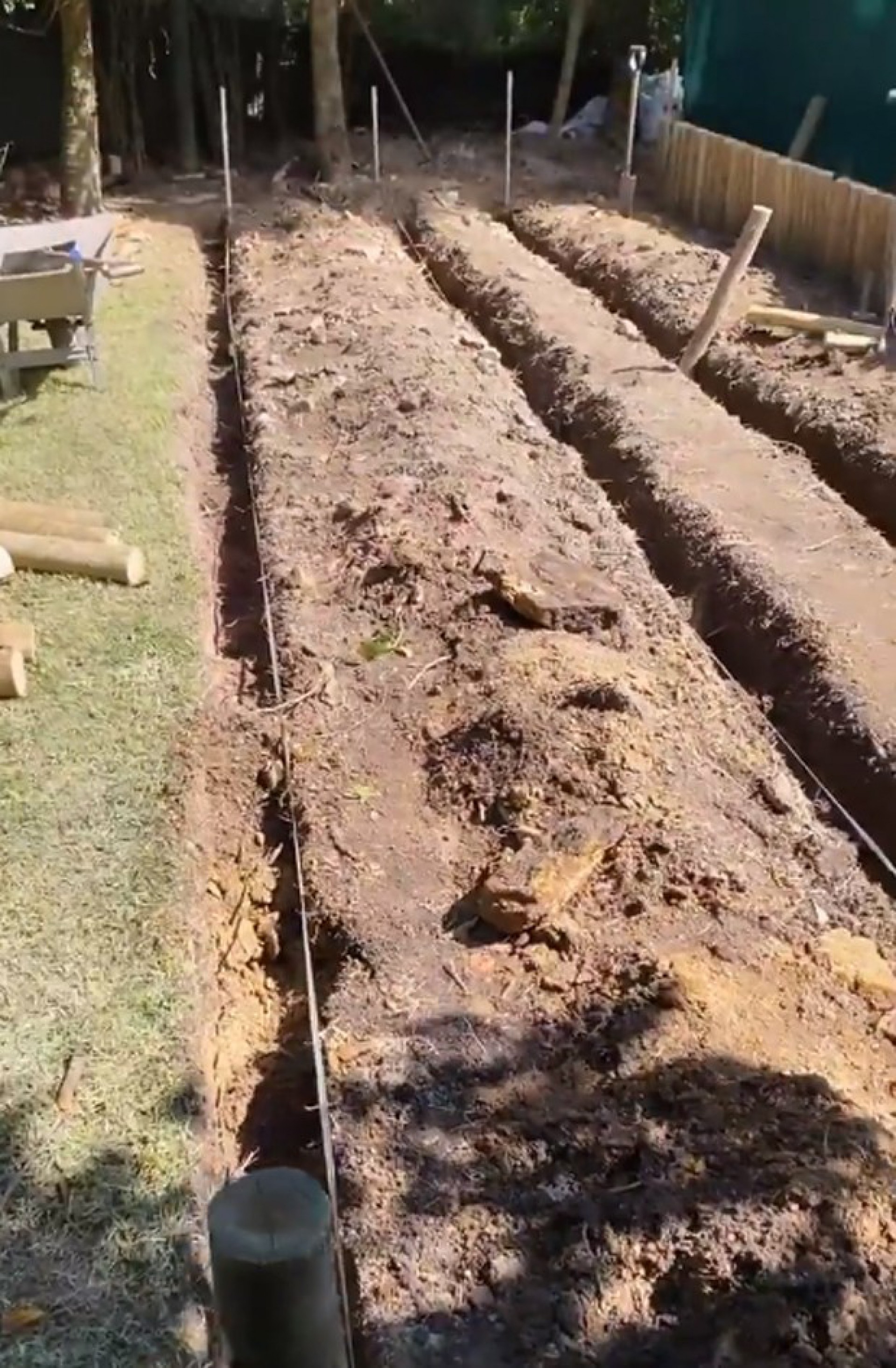 Cauã Reymond e Mariana Goldfarb mostram construção de horta em casa - Reprodução/Instagram