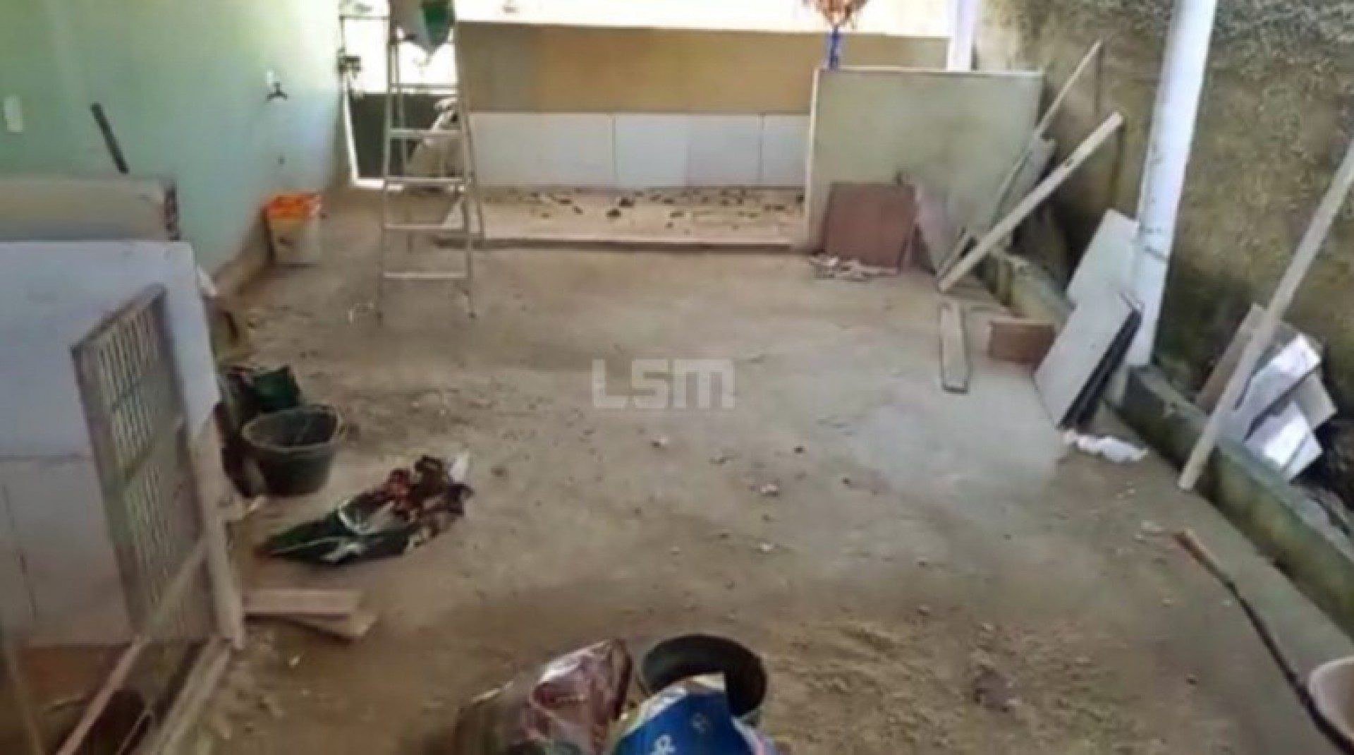 Pol&iacute;cia liberta 26 animais de canil clandestino em Itaipua&ccedil;u