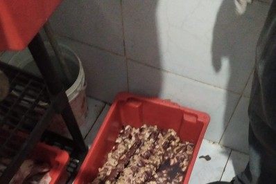 Procon fiscaliza churrascarias do Rio e descarta mais de 98 kg de alimentos impróprios para consumo