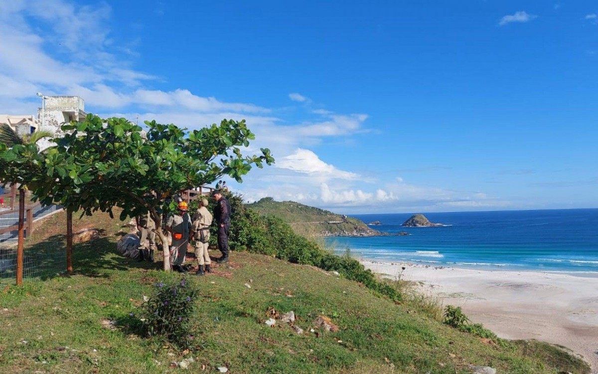 Buscas come&ccedil;aram no dia 9 de junho