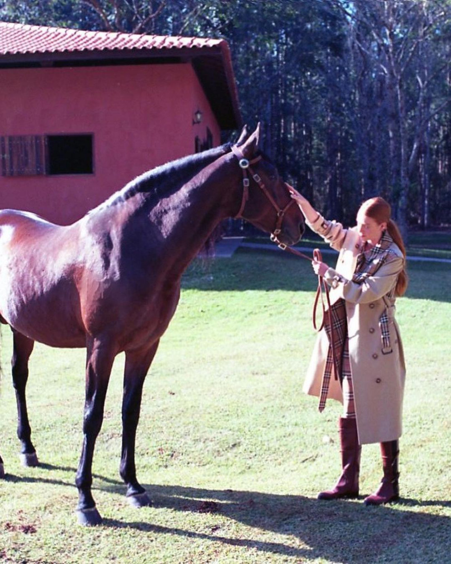 Marina Ruy Barbosa - Reprodução