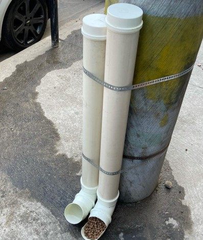 Rennan da Penha cria projeto para animais de rua - Reprodução