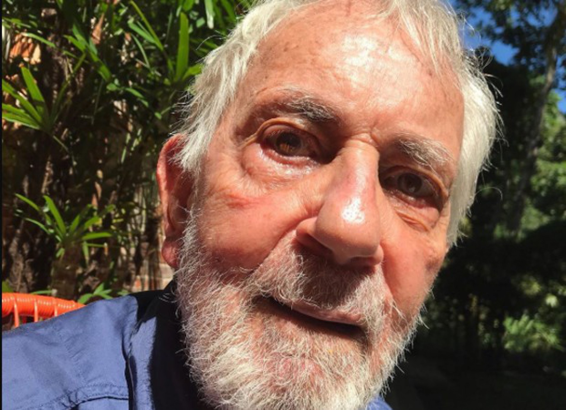 Paulo José - Reprodução