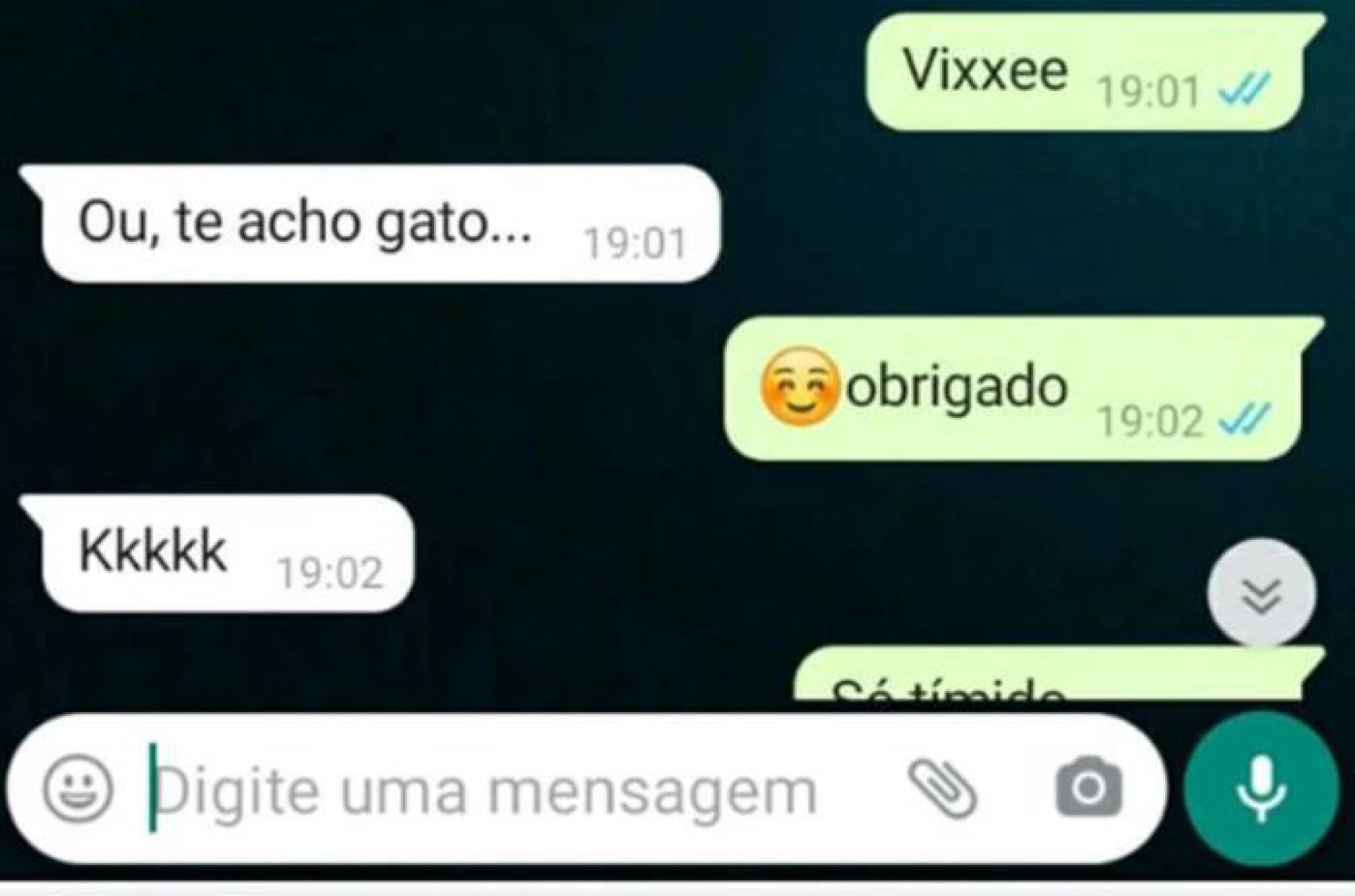 Prints mostram a troca de mensagens do militar com adolescentes - Reprodução