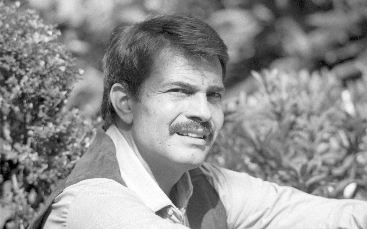 Cora&ccedil;&atilde;o Alado