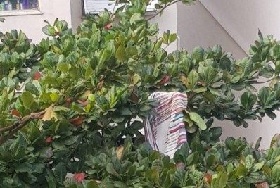 Inusitado! Bombeiros fecham rua para resgatar tapete na Zona Sul