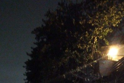 Grajaú-Jacarepaguá é parcialmente interditada após queda de árvore