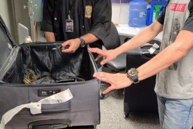 PF prende homem que ia para Portugal com 6 kg de cocaína