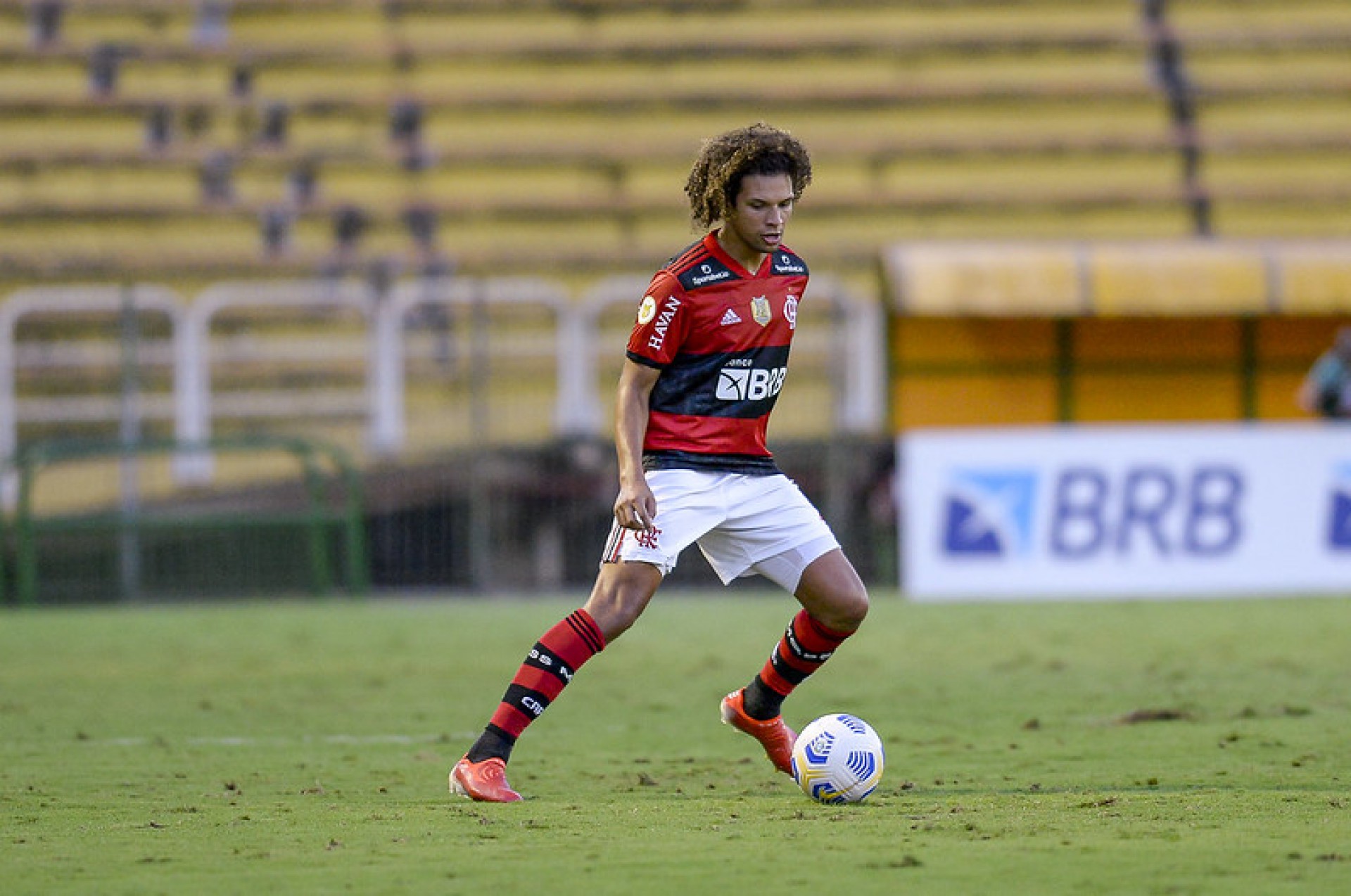 Willian Arão, volante do Flamengo - Marcelo Cortes / Flamengo