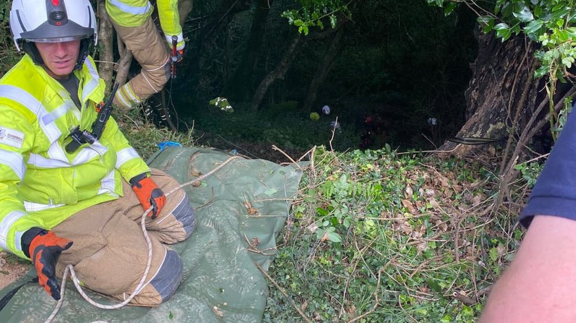 Idosa de 83 anos cai de barranco de 20 metros e &eacute; ajudada pelo gato