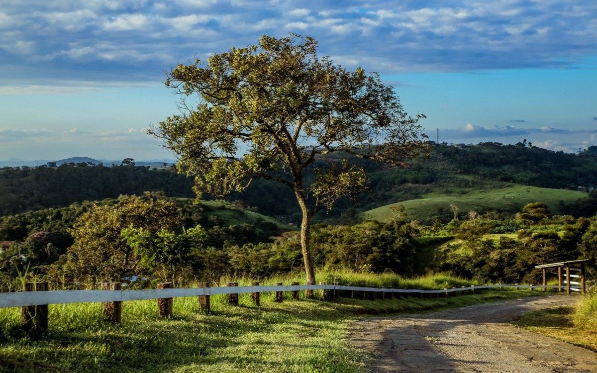 Especial Turismo RJ + Perto - Paty do Alferes (Fazenda Mangalarga)