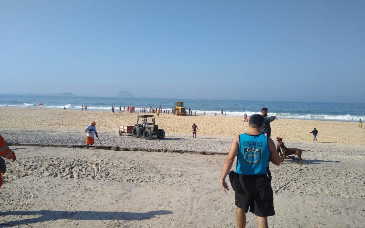 Guardas municipais fazem isolamento da área onde baleia foi encontrada morta - Divulgação/Guarda Municipal