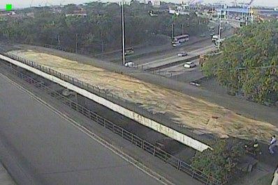 Av Brasil tem trecho interditado para poda de árvore nesta quarta