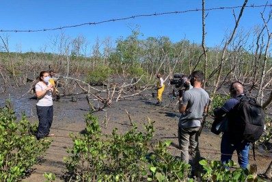 'Globo Repórter' vai mostrar a importância dos manguezais