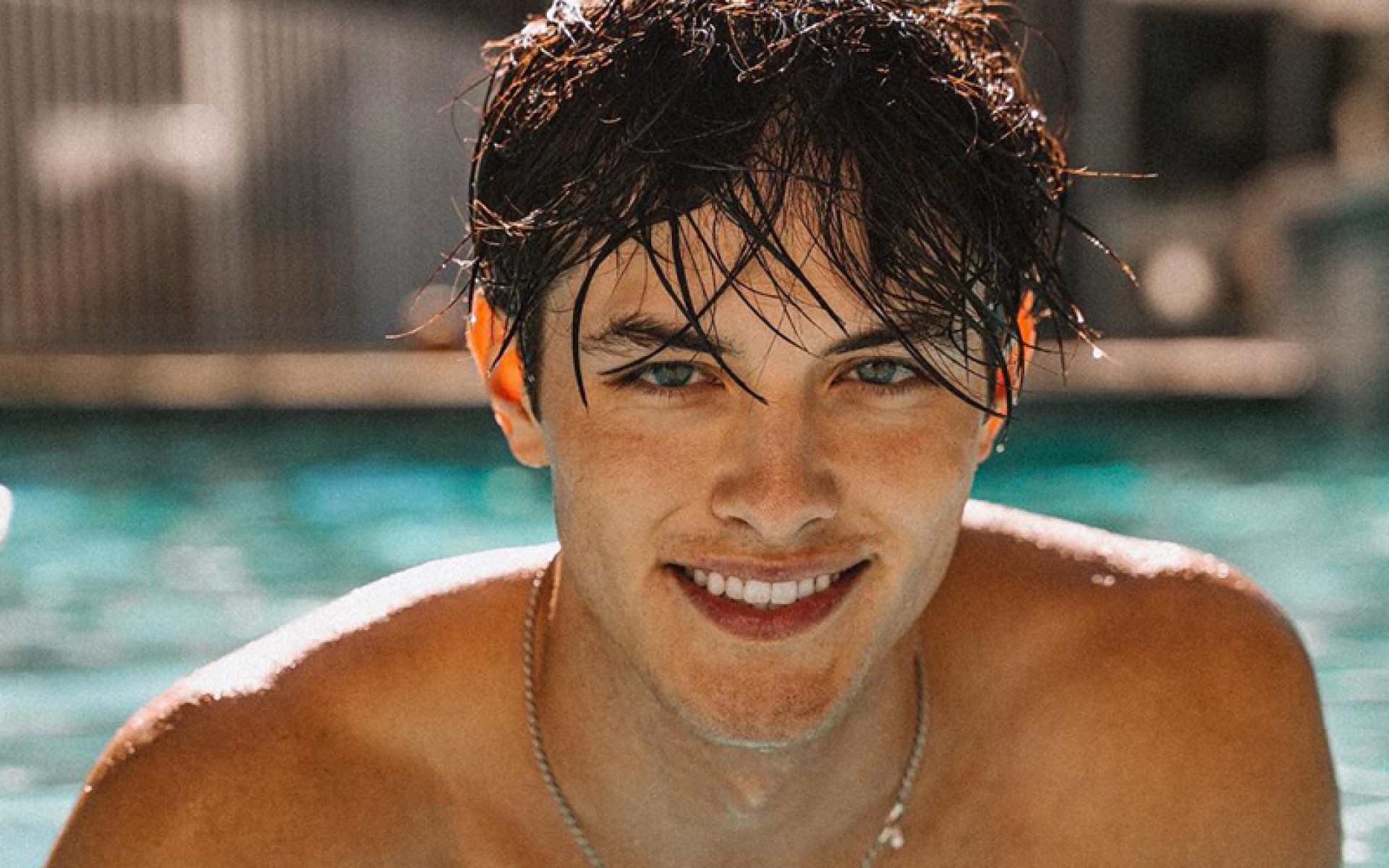 Griffin - Reprodução