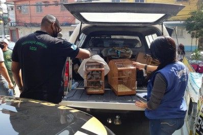 Opera&ccedil;&atilde;o reprime tr&aacute;fico de animais silvestres em Duque de Caxias