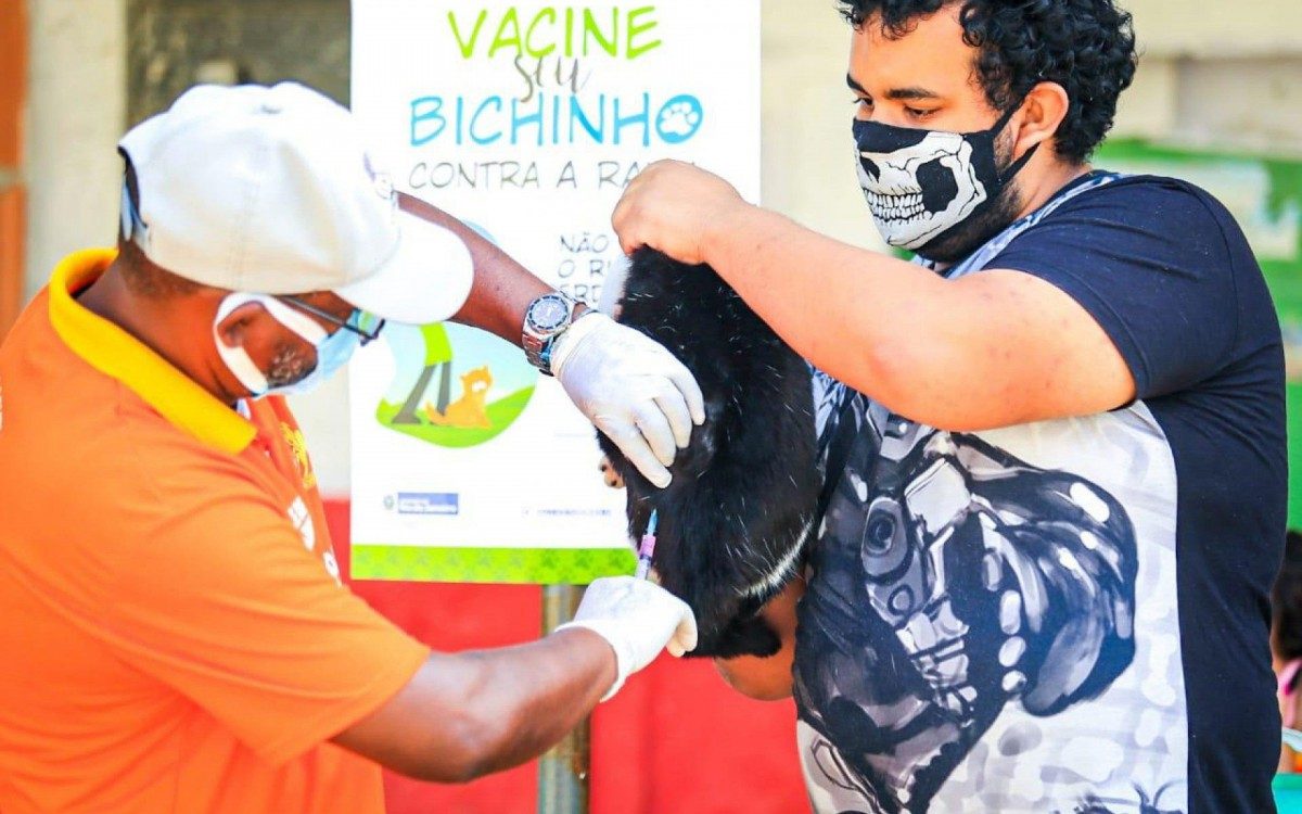 A campanha de vacinação de animais continua em mais quatro bairros