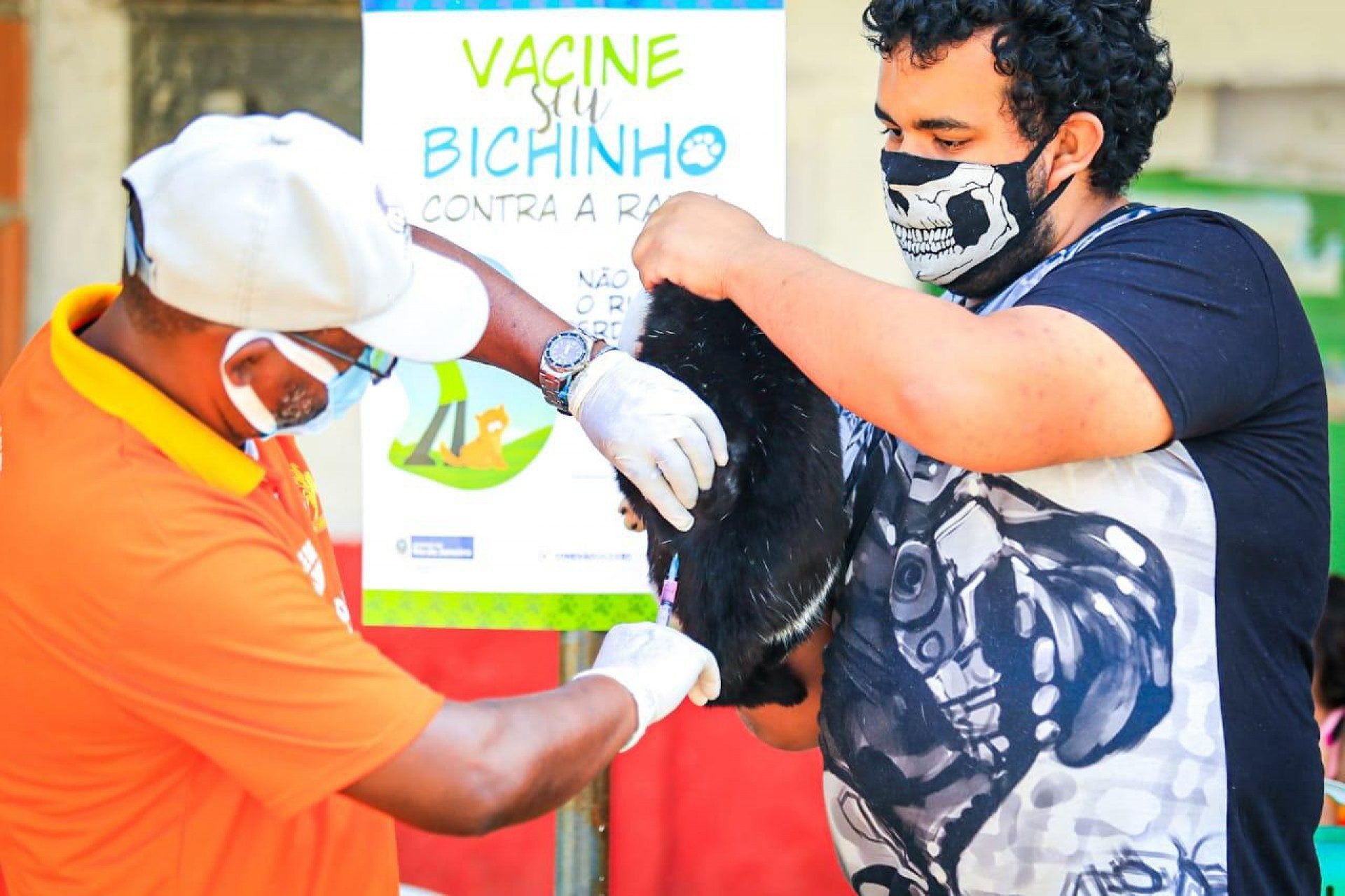 A campanha de vacinação de animais continua em mais quatro bairros - Rafael Barreto / PMBR