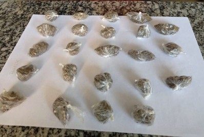 Cardoso Moreira: 29º BPM  apreende droga no interior de terreno na zona rural