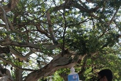 Dia do Folclore é comemorado com 