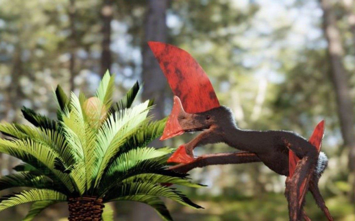 F&oacute;ssil de pterossauro apreendido pela PF &eacute; um dos mais preservados do Brasil