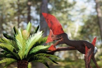 Fóssil de pterossauro apreendido pela PF é um dos mais preservados do Brasil