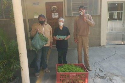 Horto de Teresópolis doa alimentos agrícolas para instituições assistenciais