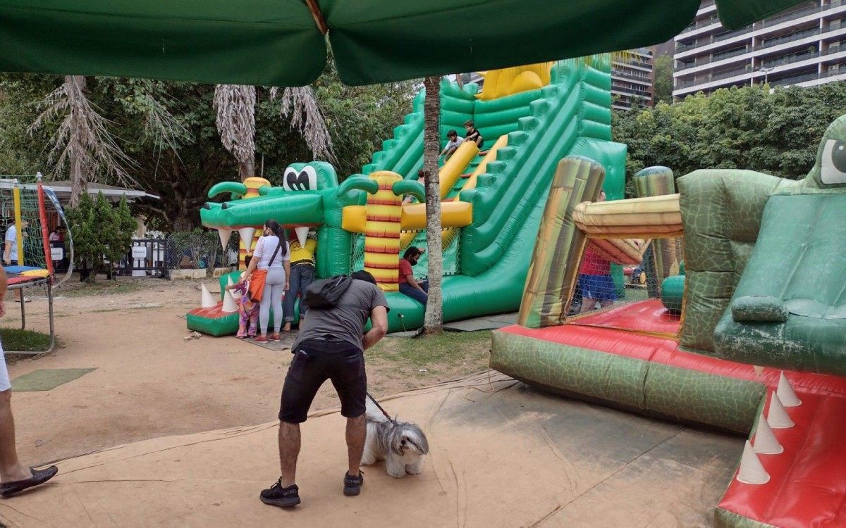 Empresas de pedalinhos e de brinquedos infláveis foram autuadas e interditadas - Divulgação/Seop