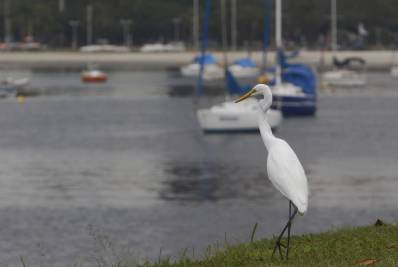Rio pode ter chuva isolada a partir da tarde desta quarta-feira