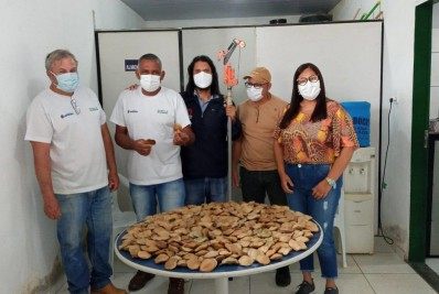 Em Itaperuna, Secretaria do Ambiente realiza coleta de sementes de jacarandá e paineiras brancas