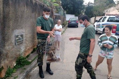 Coruja Orelhuda é resgatada em Saquarema