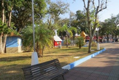 Quatis inicia projeto de castração para cães e gatos