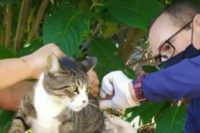 Búzios realiza campanha de vacinação antirrábica no dia 25 de setembro