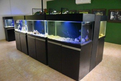 Prefeitura reabre sede da Unidade de Conservação no Espraiado