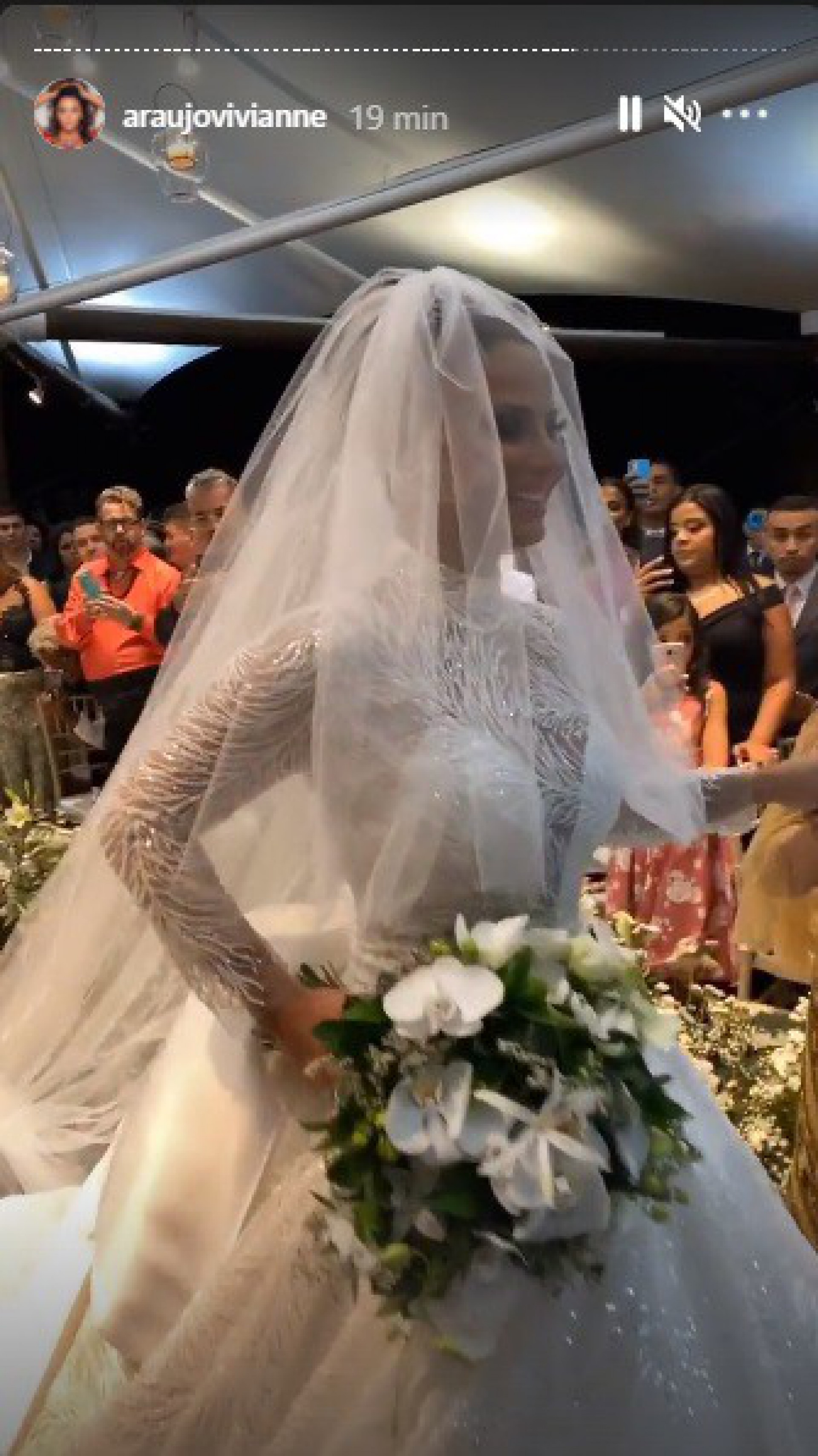 Viviane Araújo - Reprodução