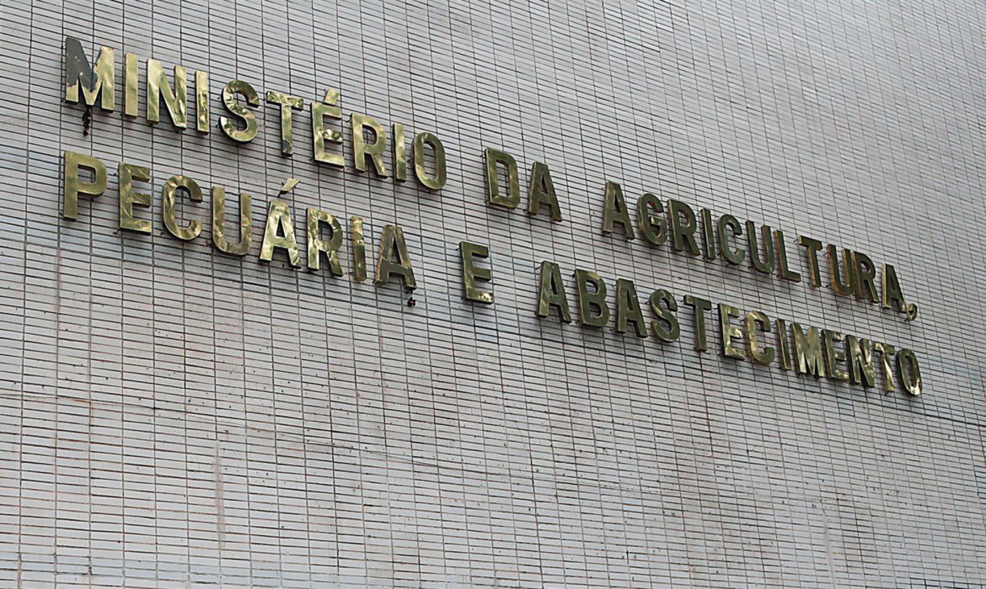 Governo confirma dois casos de vaca louca em Mato Grosso e Minas Gerais