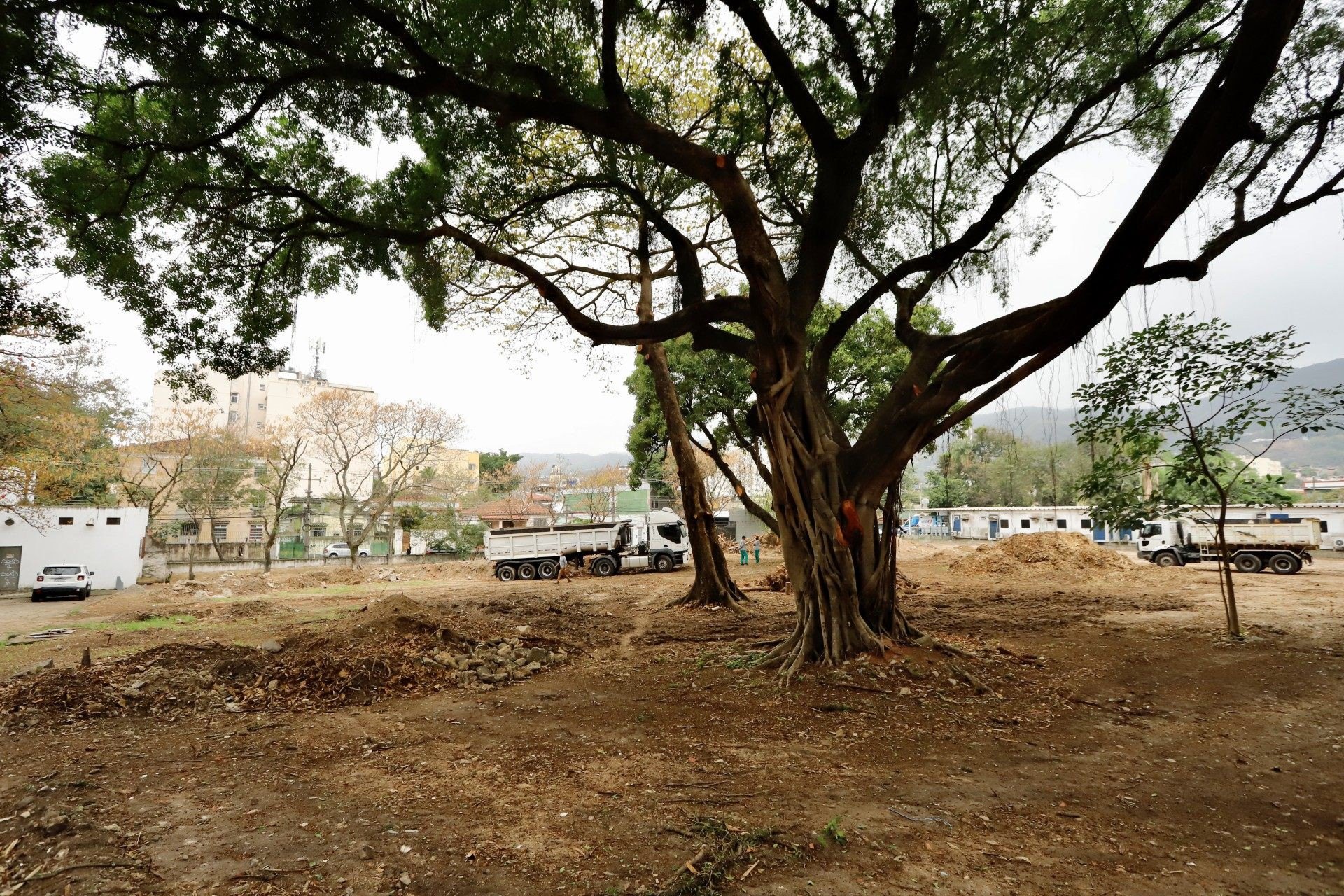 Fotos do início das obras do Parque Nise da Silveira. - Beth Santos