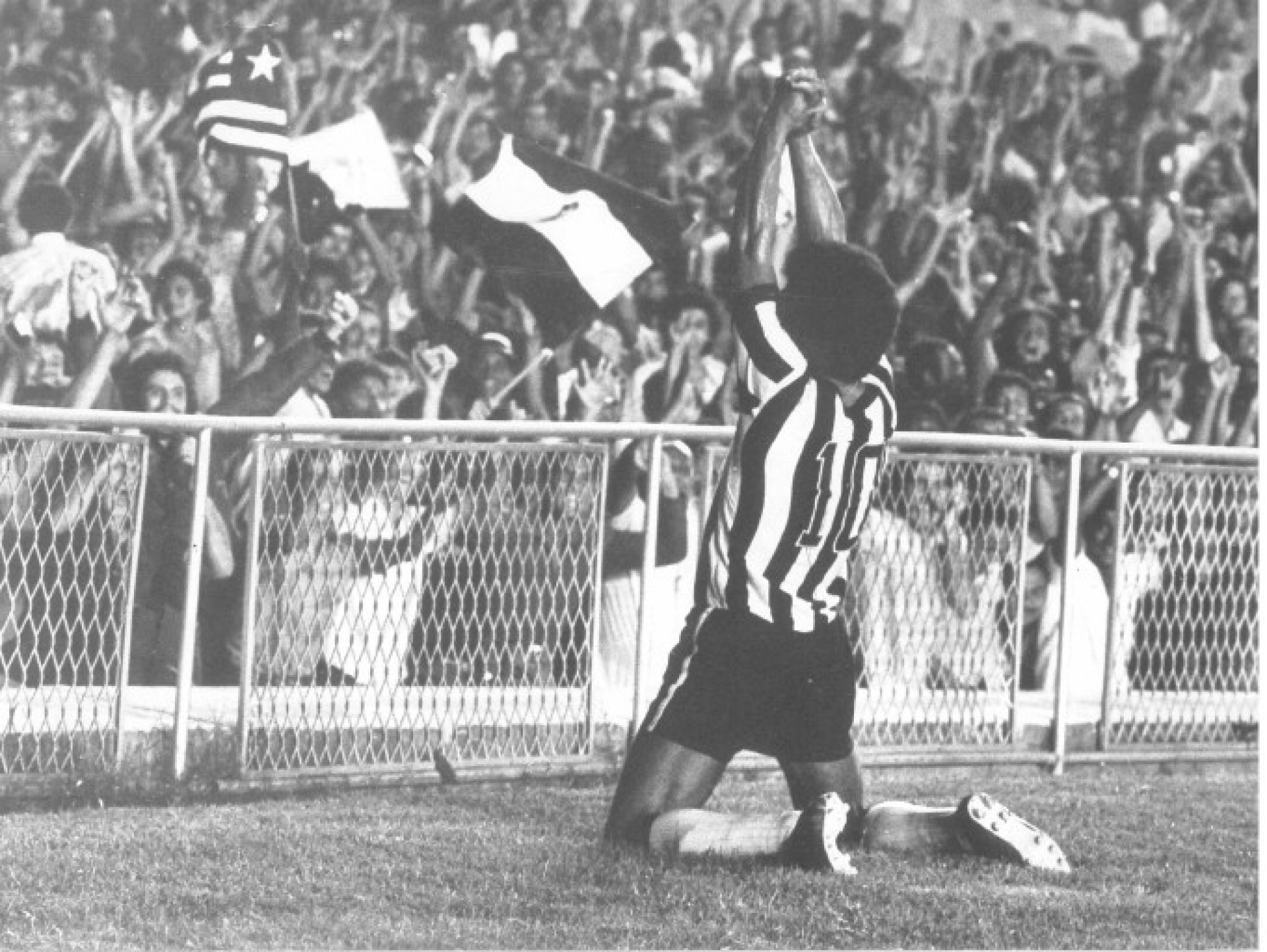 Ídolo do Botafogo, Jairzinho recebe alta do hospital - Reprodução
