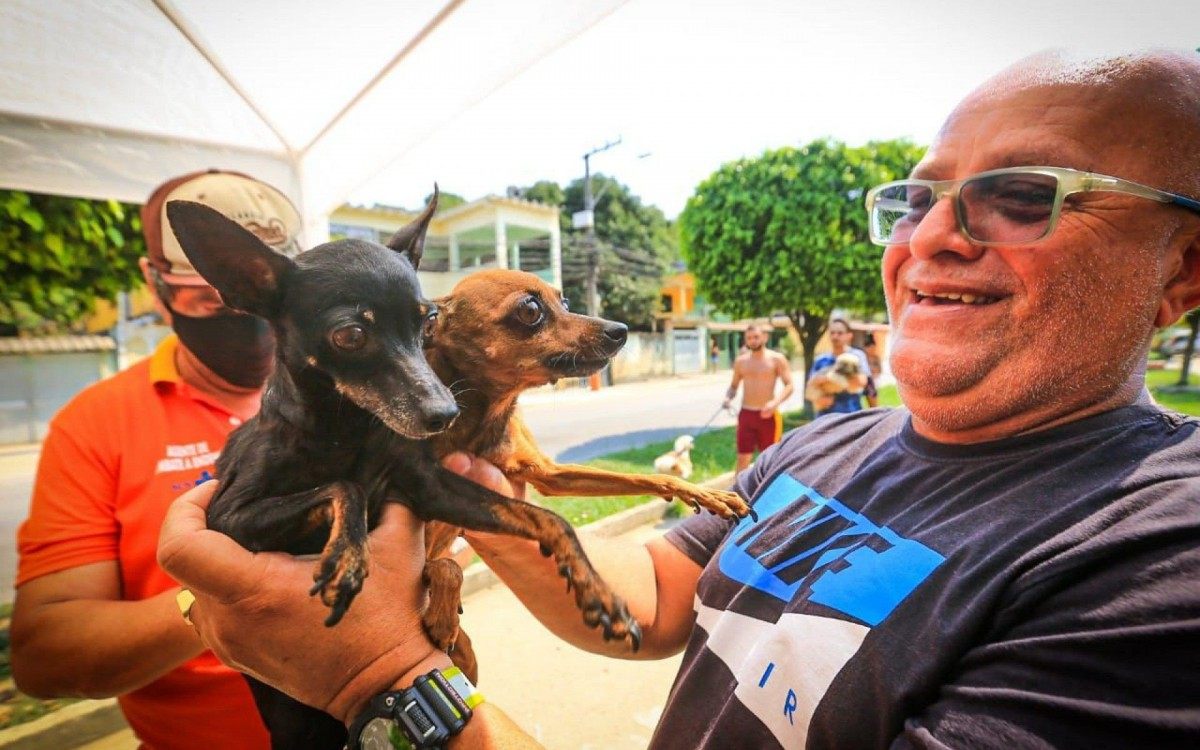 Em S&atilde;o Vicente, a Secretaria municipal de Sa&uacute;de vacinou  338 c&atilde;es e 81 gatos