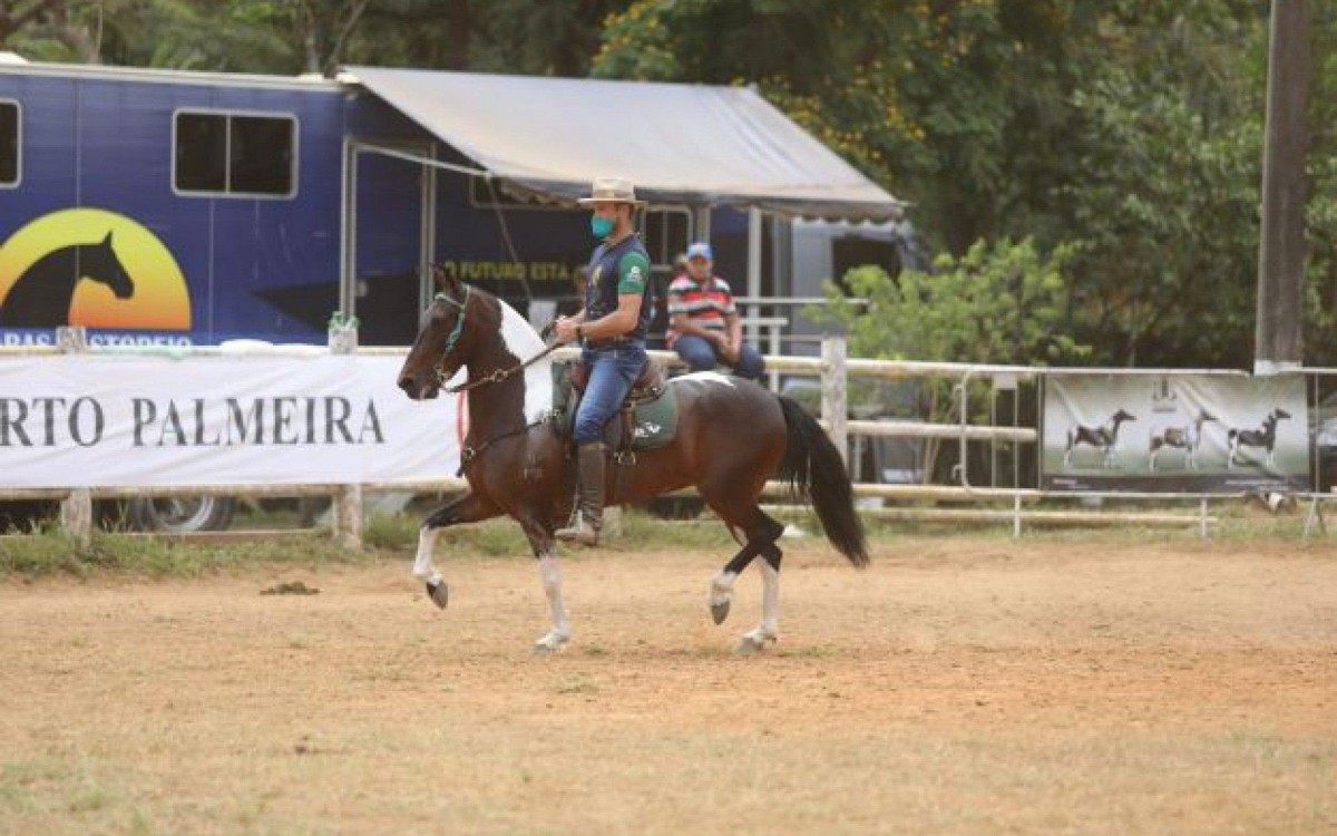 Evento vai contar com competi&ccedil;&otilde;es entre os expositores