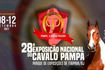 Começa nesta quarta-feira a 28ª Exposição Nacional do Cavalo Pampa, em Petrópolis