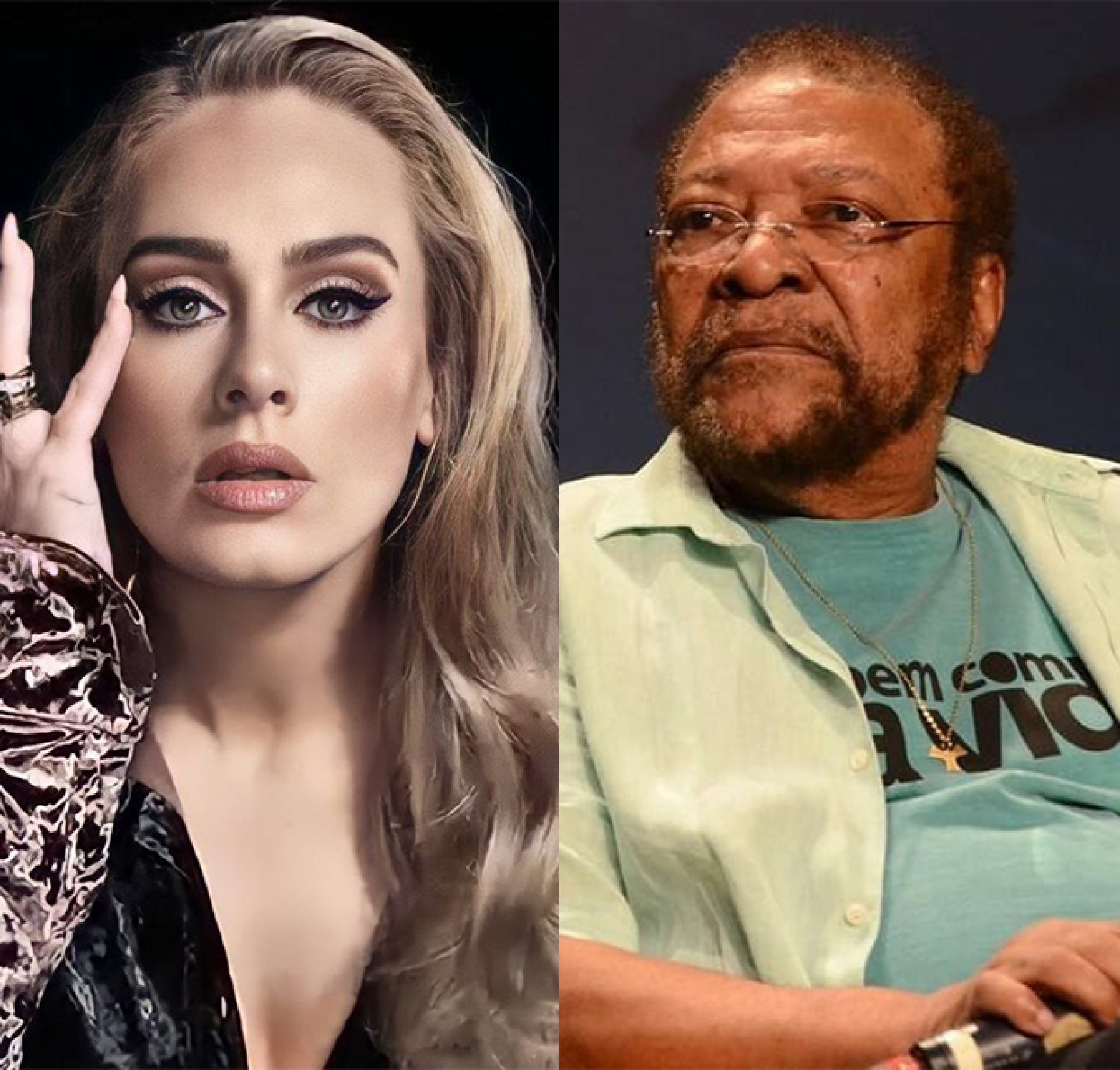 Adele e Martinho da Vila - Reprodução/Montagem