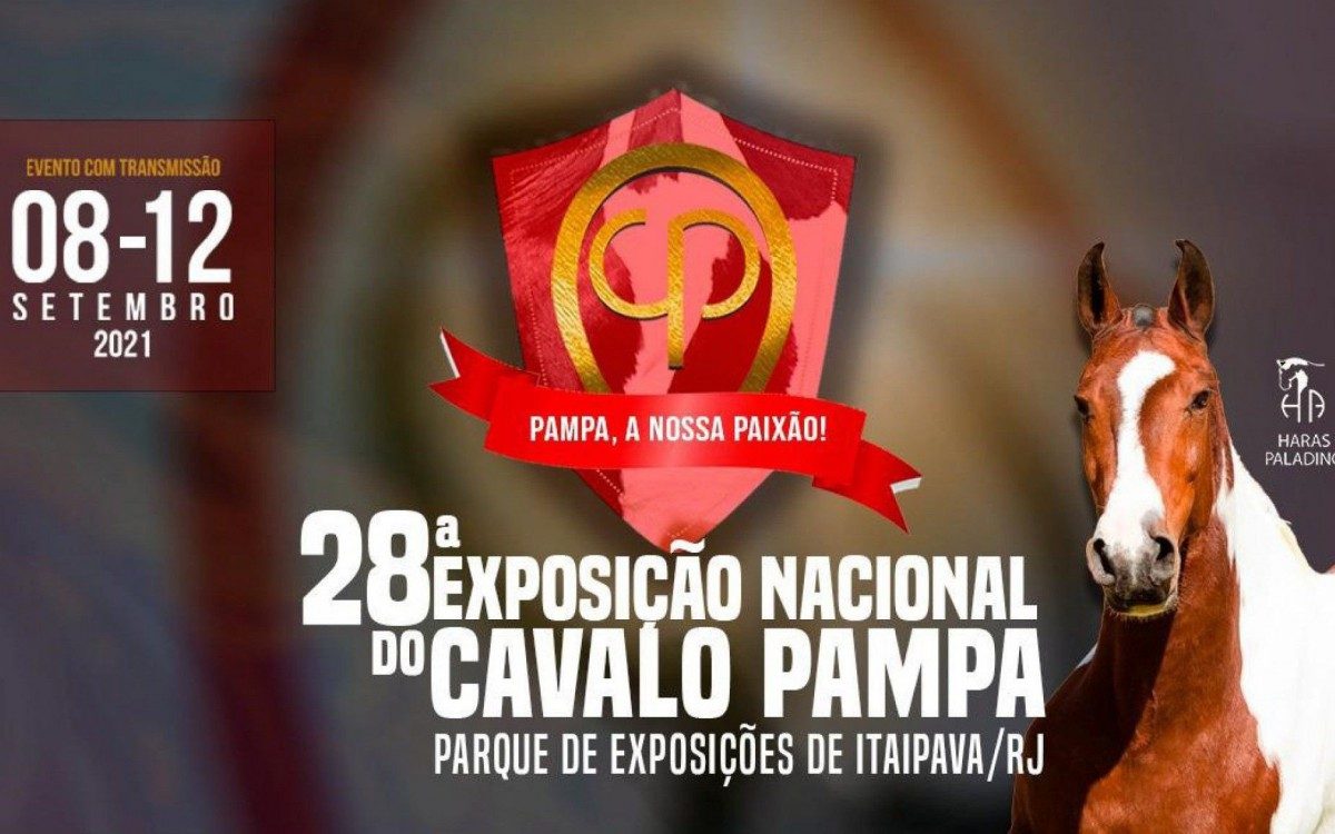 Cartaz oficial da 28&ordf; Enapampa